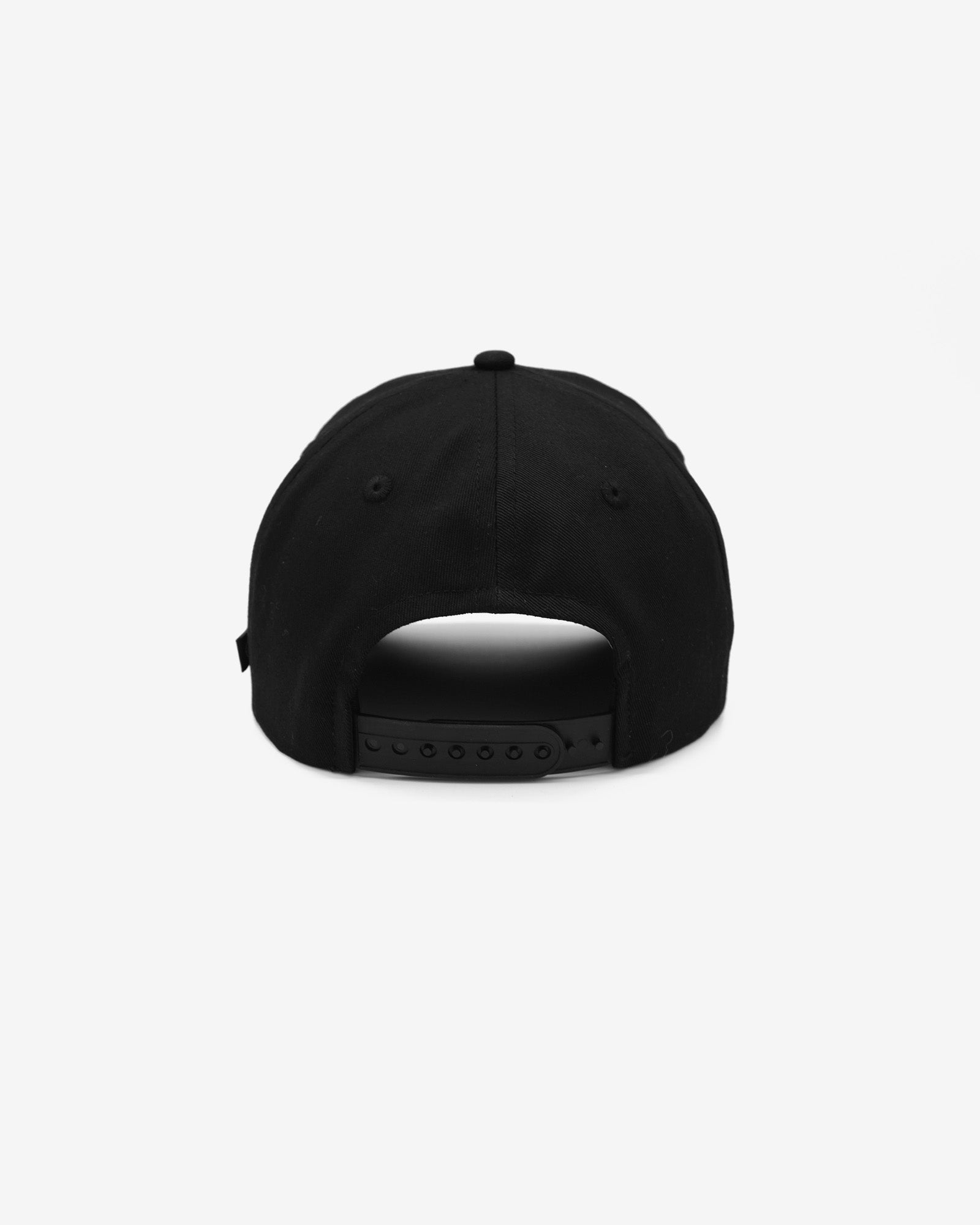 Raking Services Snap Back Hat