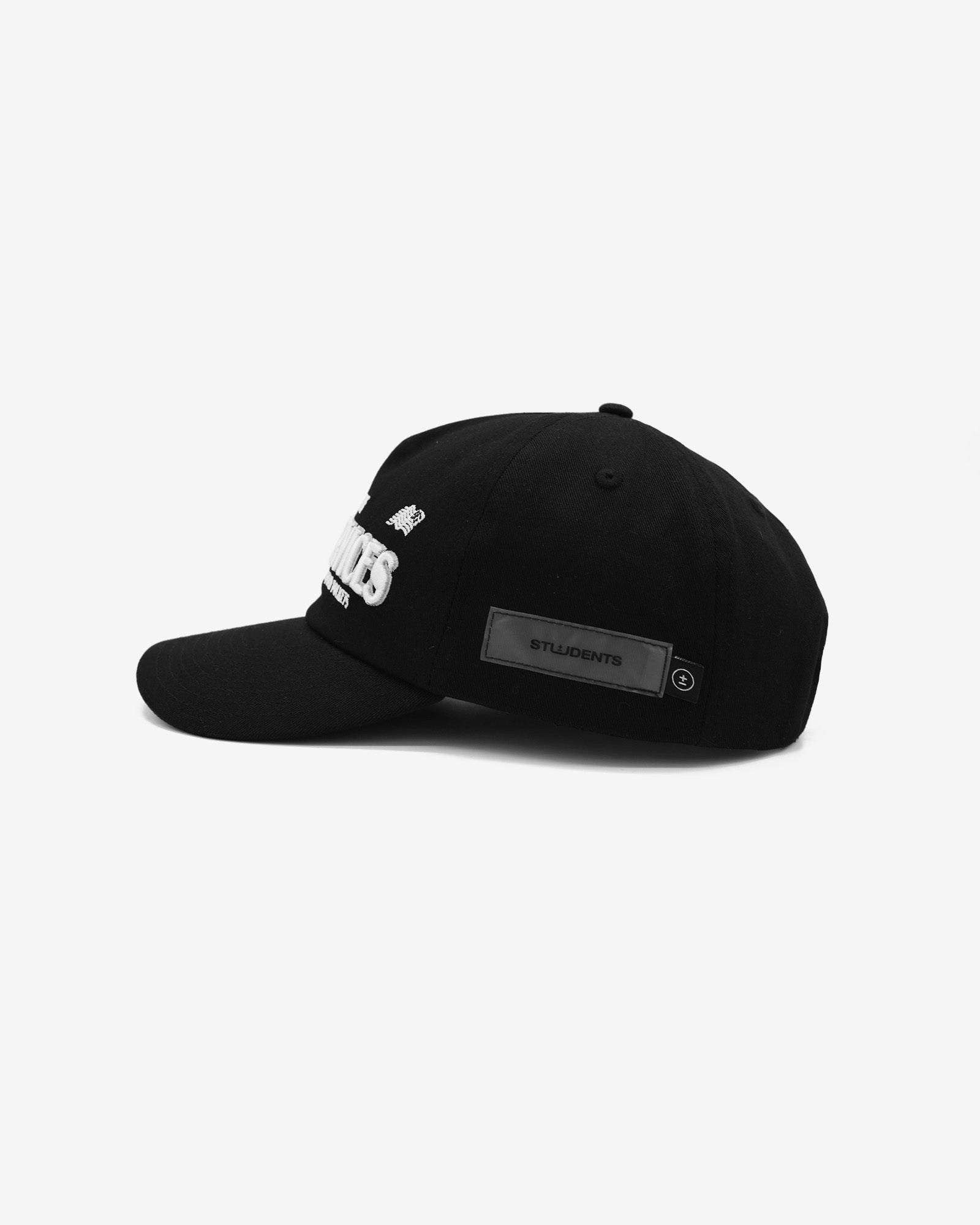 Raking Services Snap Back Hat
