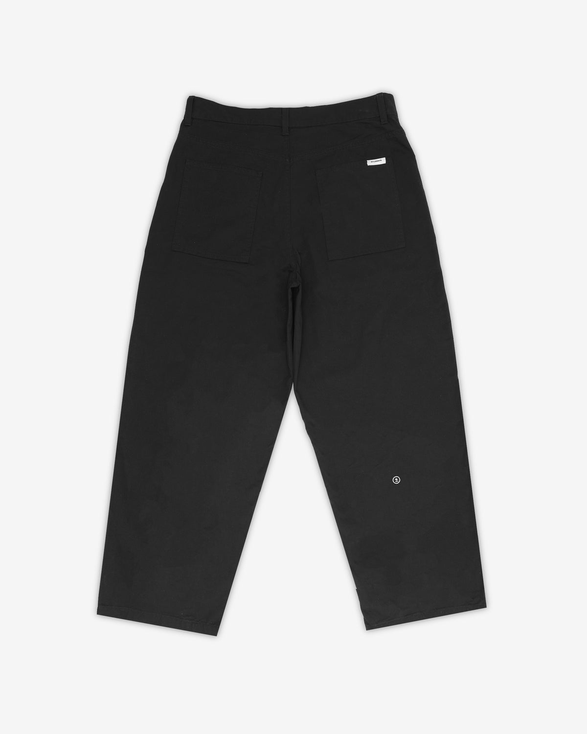 Curriculum Baggy Twill Pants